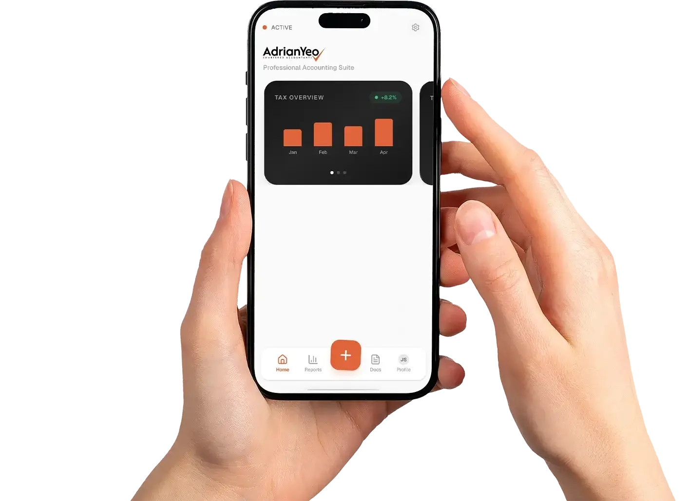 Chartered accountants provide accounting tax audit services